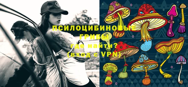 дурь Алзамай