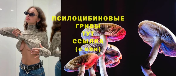 прущие крисы Алексеевка