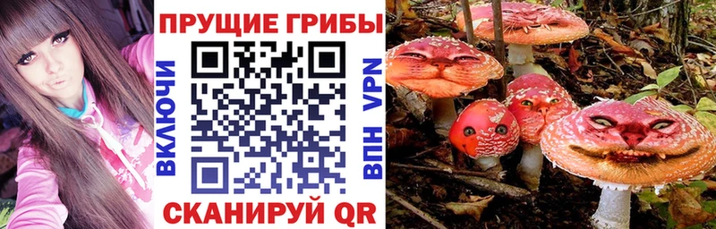 Псилоцибиновые грибы Psilocybe  Сурск 